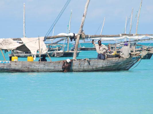 🏖️ 6 jours sur la plage à Zanzibar  - Pack EXPLORER 🏖️ 